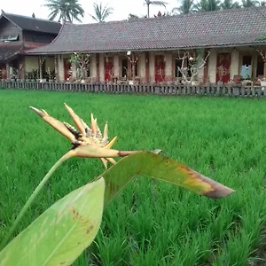 ***** Gasthof Rice Padi Artha Indonesien